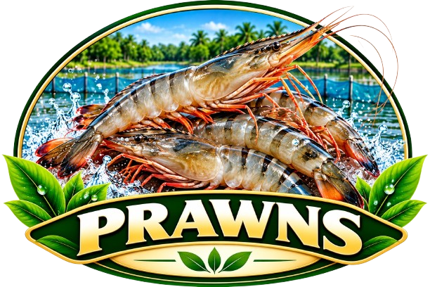 Prawns