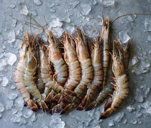 PRAWNS