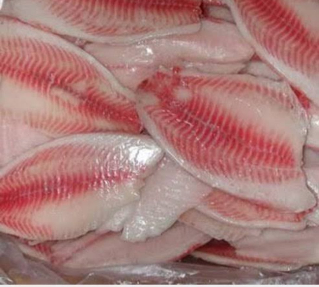 APOLLO FISH
